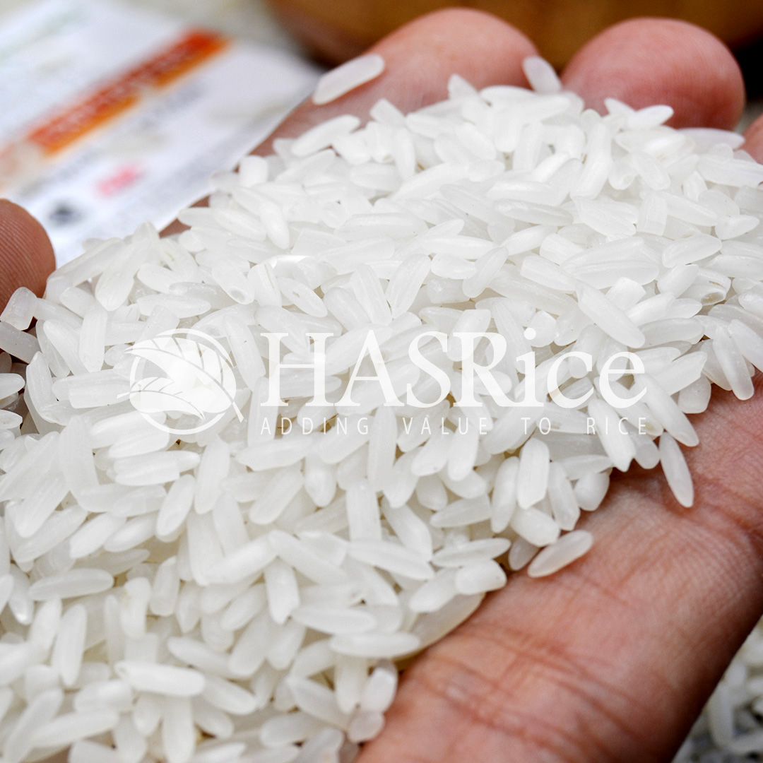 15 Broken White Rice Exporters For Auckland New Zealand