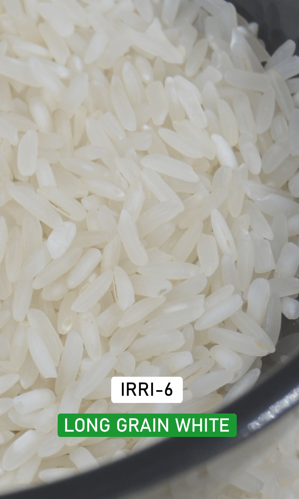 irri6-rice-exporters-millers